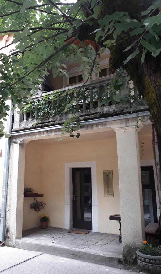 Apartman Centar 采蒂涅 外观 照片